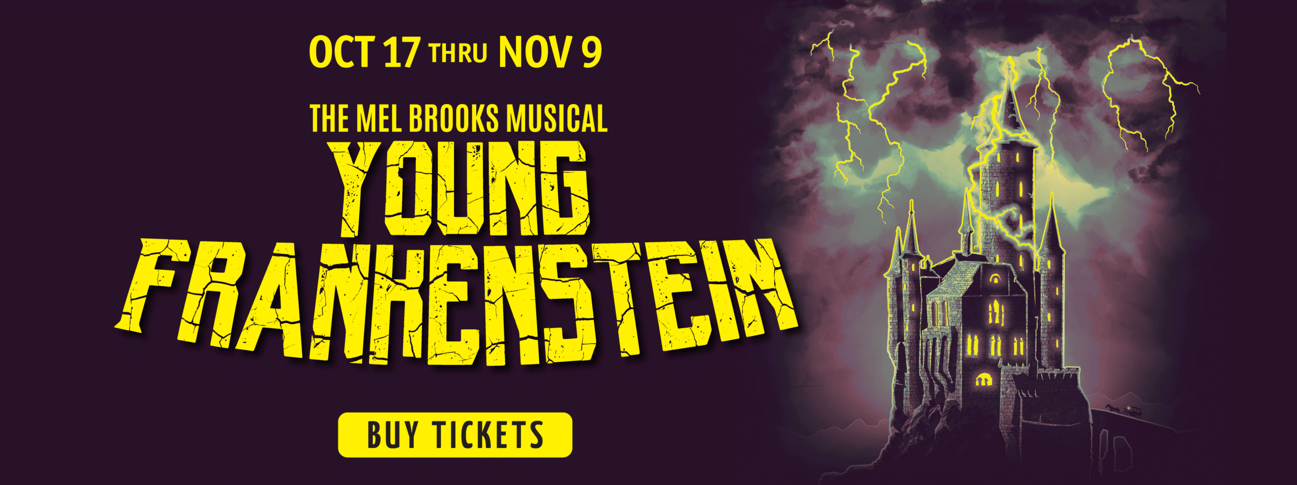 youngfrankenstein_Website Slider